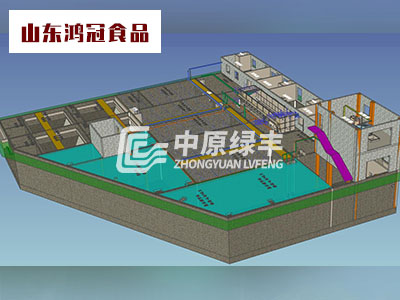 山東鴻冠食品2000m3/d屠宰肉加工廢水處理工程